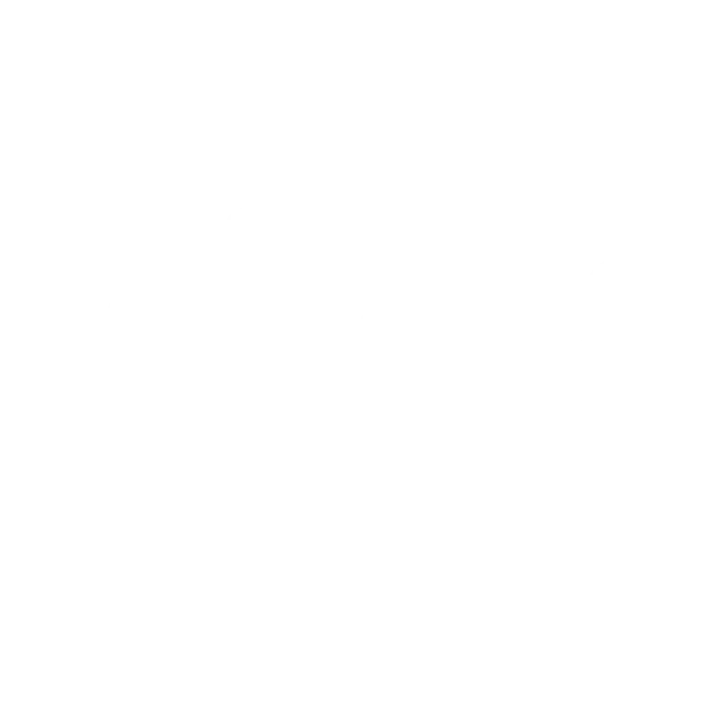Logo Viñals Soler